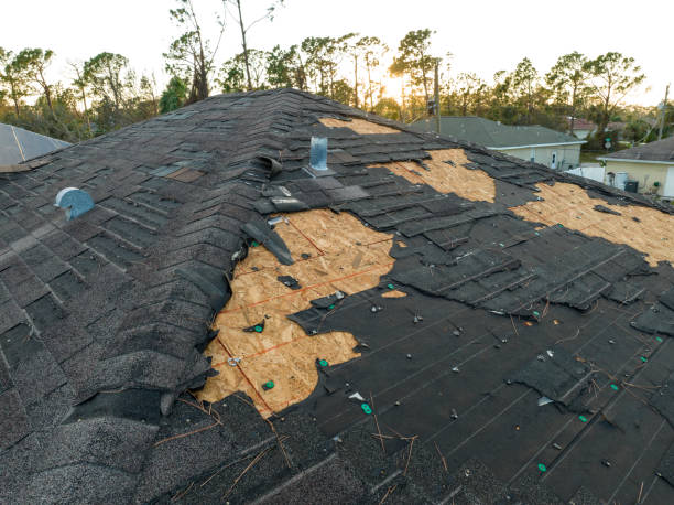 Roof Insulation in Twin Falls, ID